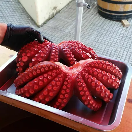 Casa Isabel Portonovo