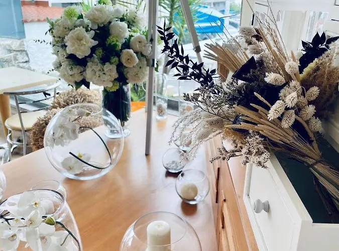 Casa Isabel 招待所