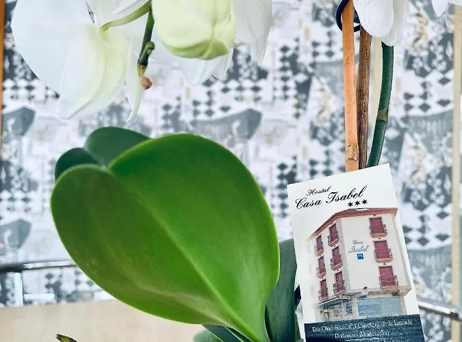 Konukevi Casa Isabel Vera