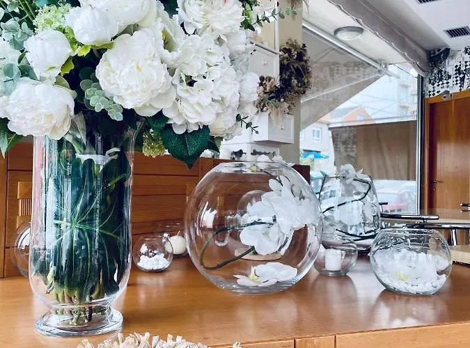 招待所 Casa Isabel 3*