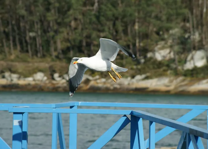 Casa Isabel 波多诺伏